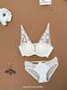 Sleek Lace Front-Closure Push-Up Bra Set for Small Busts - Wire-Free & Comfortable