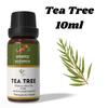 Ananta Tea Tree Essential Oil 10 Ml | Herbal Aromatic Oil | Diffuser & Home Fragrance Use