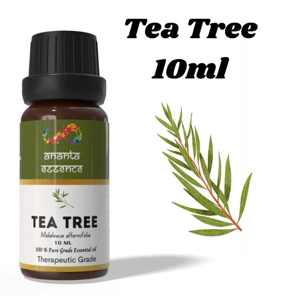 Ananta Tea Tree Essential Oil 10 Ml | Herbal Aromatic Oil | Diffuser & Home Fragrance Use