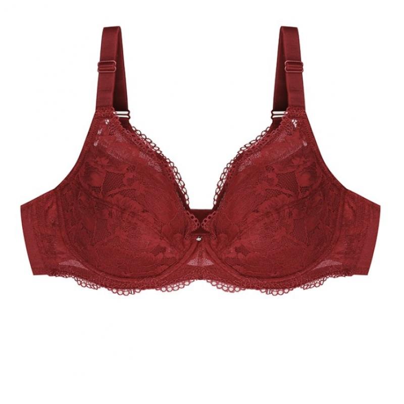 Venus Full Cup Shaping Bra Vbrq863abc