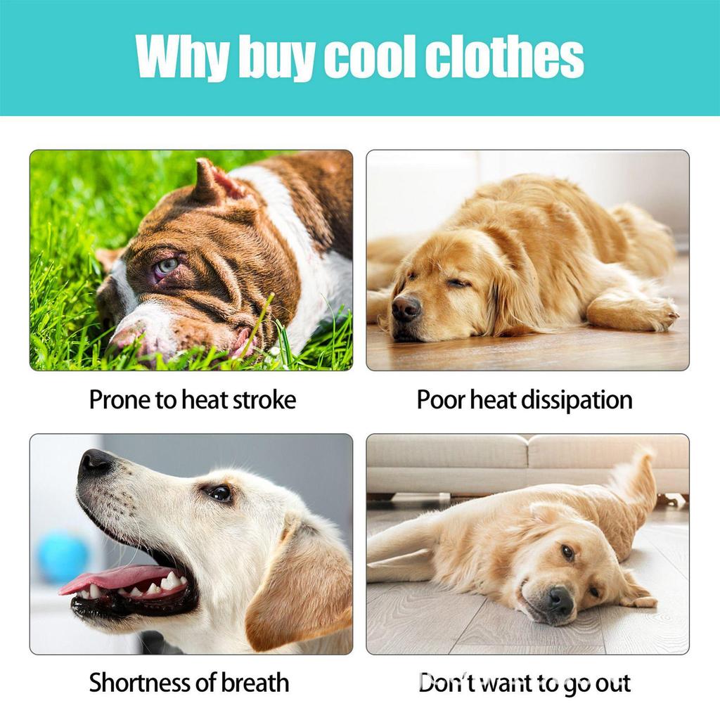 Cooling Vest Harness for Dogs UV Protection Adjustable Shirt Jacket Pet Outfit for Small Medium Puppy Hiking Beach