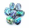 Natural Abalone Shell Oval Cabochon Gemstones for Custom Jewelry Making