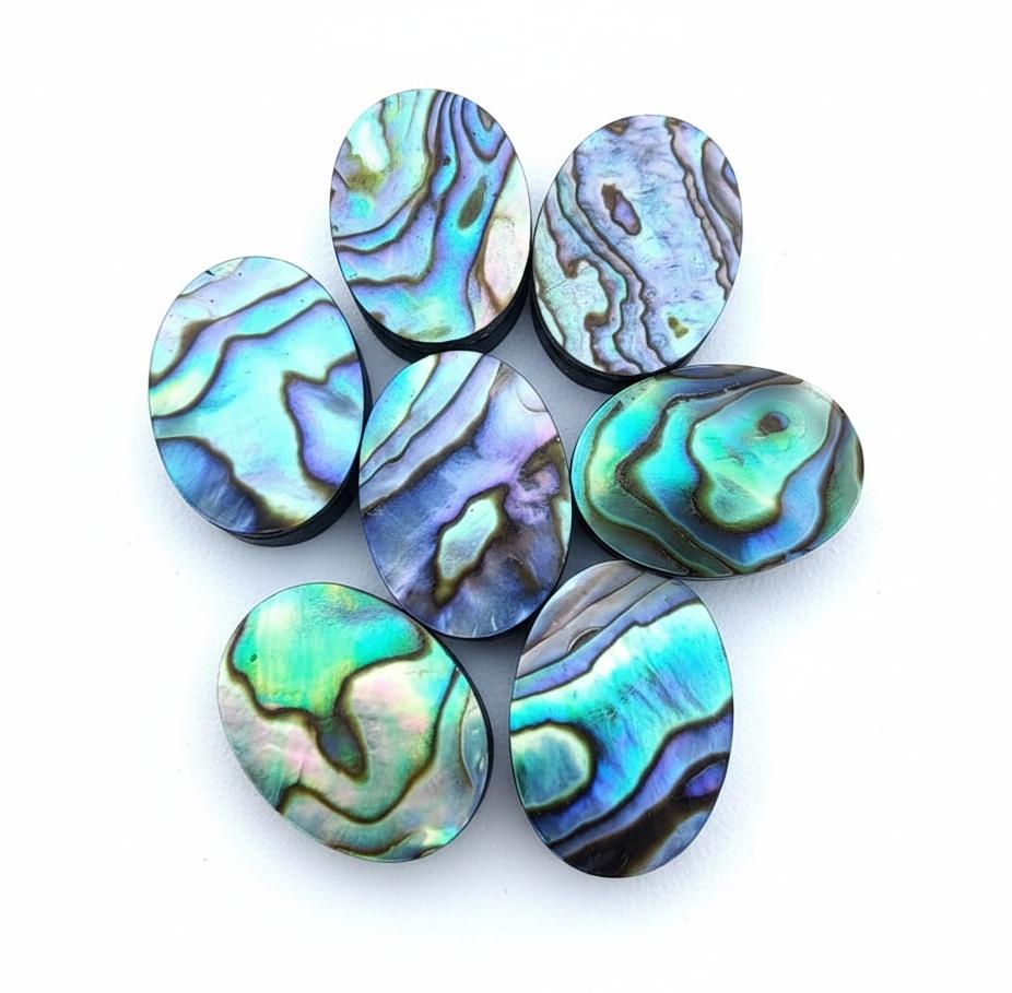 Natural Abalone Shell Oval Cabochon Gemstones for Custom Jewelry Making