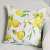 4 Pcs Double Sided Lemon Cushion Covers, Summer Citrus Fruit Floral Print Throw Pillow Cases (No Inserts)