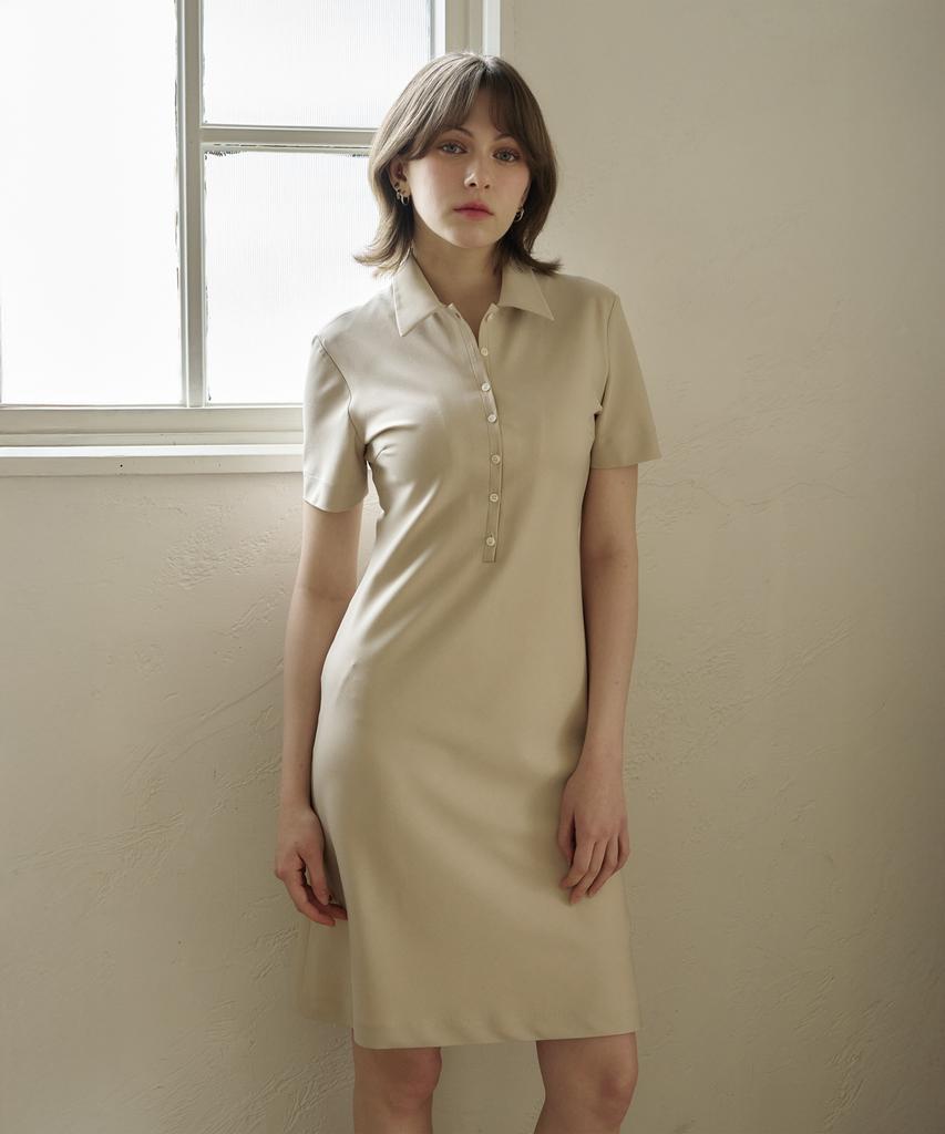 ARMOIRESECRET Slim Collar Dress