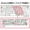 Sanwa Supply NT-17UBKN USB Numeric Keypad, Black