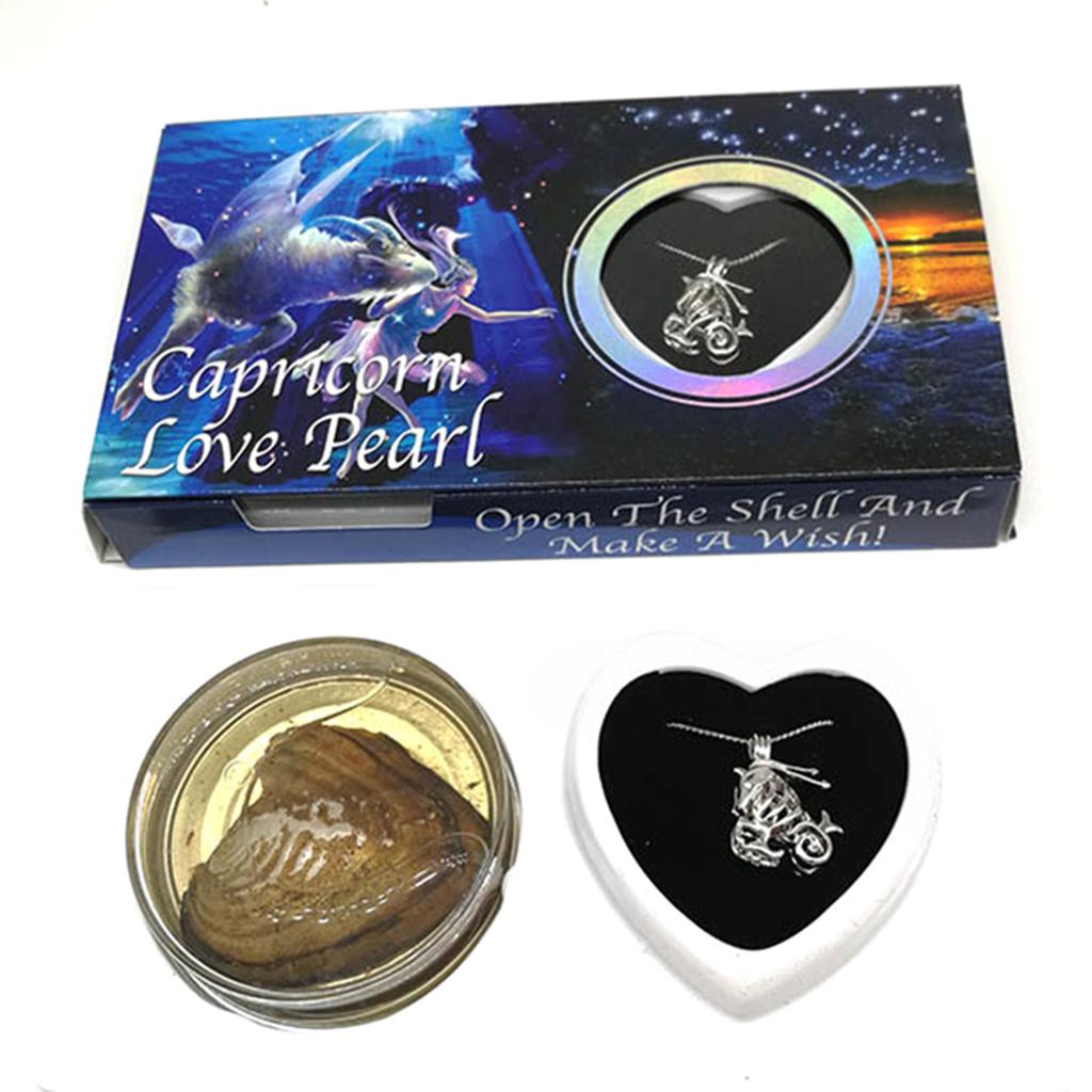 Kit Fai da Te Creazioni Perla d'Amore Zodiaco Desideri con Collana Ciondolo Conchiglia di Perla d'Acqua Dolce Scatola Regalo in Lattina per Decorazione Donna