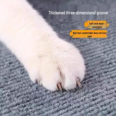 Gatti – Dispositivi addestramento gatti