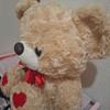 [USED] Super Cheap! Beige Teddy Bear with Heart