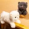 Cute Realistic Animal Plush Toys, Dolls, Children's Comfort Dolls, Girls' Birthday Gifts