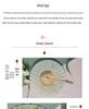 Portable Handheld Folding Round Fan: Ancient Style Dance Fan for Hanfu & Cheongsam Catwalk - Perfect for a Cool Summer