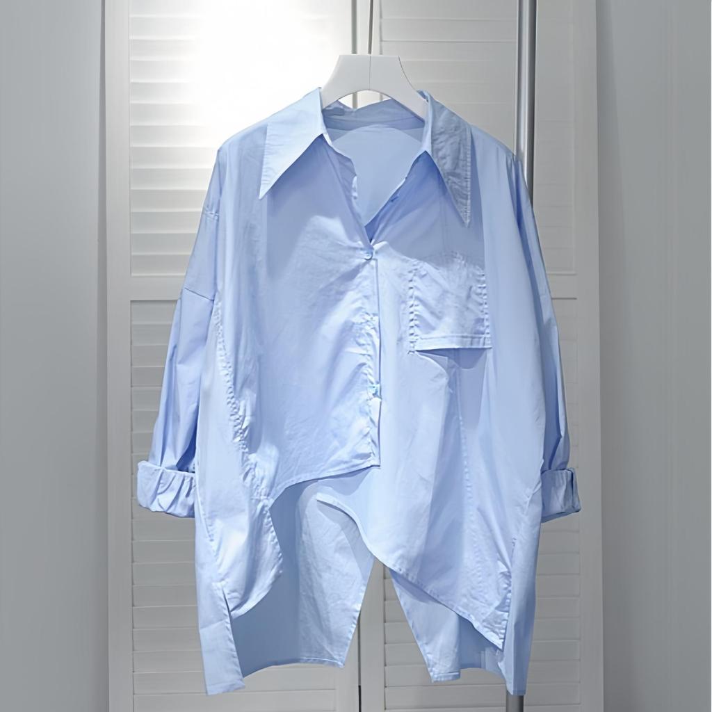 Korean Dongdaemun Irregular Back Slit Long Sleeve Loose Shirt - Women's Spring/Autumn Trendy Style