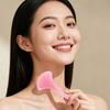 Ginkgo Shape Resin Face Gua Sha Board Gua Sha Massage Board For Face Firm Skin Care Gua Sha Spa Physical Therapy Beauty Product