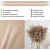 24PCS Brown Faux Pampas Grass White, 56cm Short Artificial Pompous Grass Floral Fake Pompas Grass Branches Vase Filler