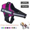 Pettorina Personalizzata per Cani Riflettente Regolabile Anti-Trazione Pettorina a Gilet per Animali Domestici per Cani Piccoli Medi Grandi Pettorina all'ingrosso