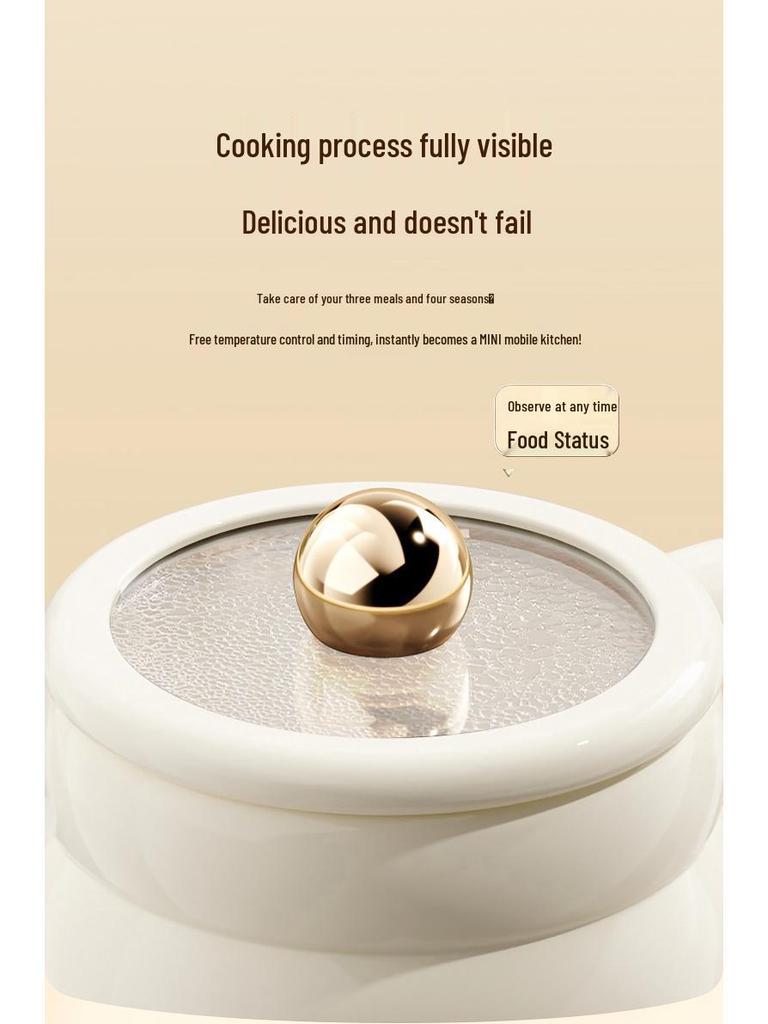 Sico Multifunctional Portable Electric Stew and Milk Warmer Cup - Compact Travel Insulation and Boiling Cup