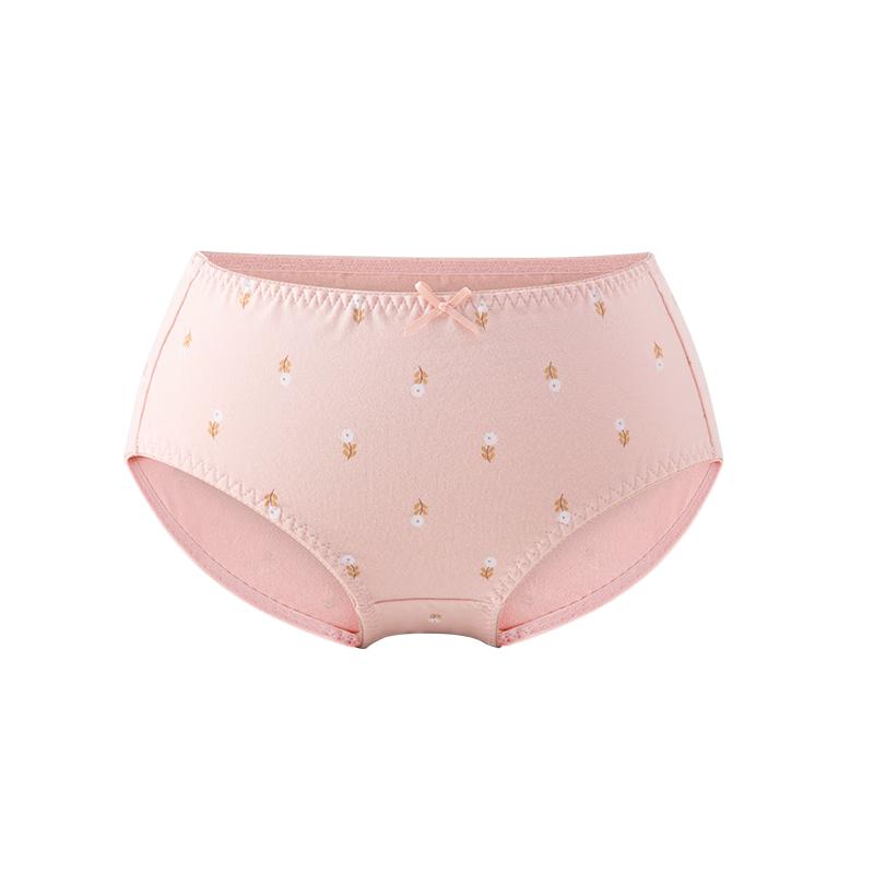 

Dingguagua Women s Cotton Mid-Waist Briefs 2XL (175)