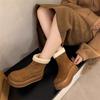 Small Thickened Cotton Shoes Platform Snow Boots Women's New Winter Velvet Warm Zipper Short Boots
