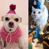 10Pieces Small Party Hats for Dogs and Cats with Glitter Design and Adjustable Strap Suitable for Birthday Celebrations