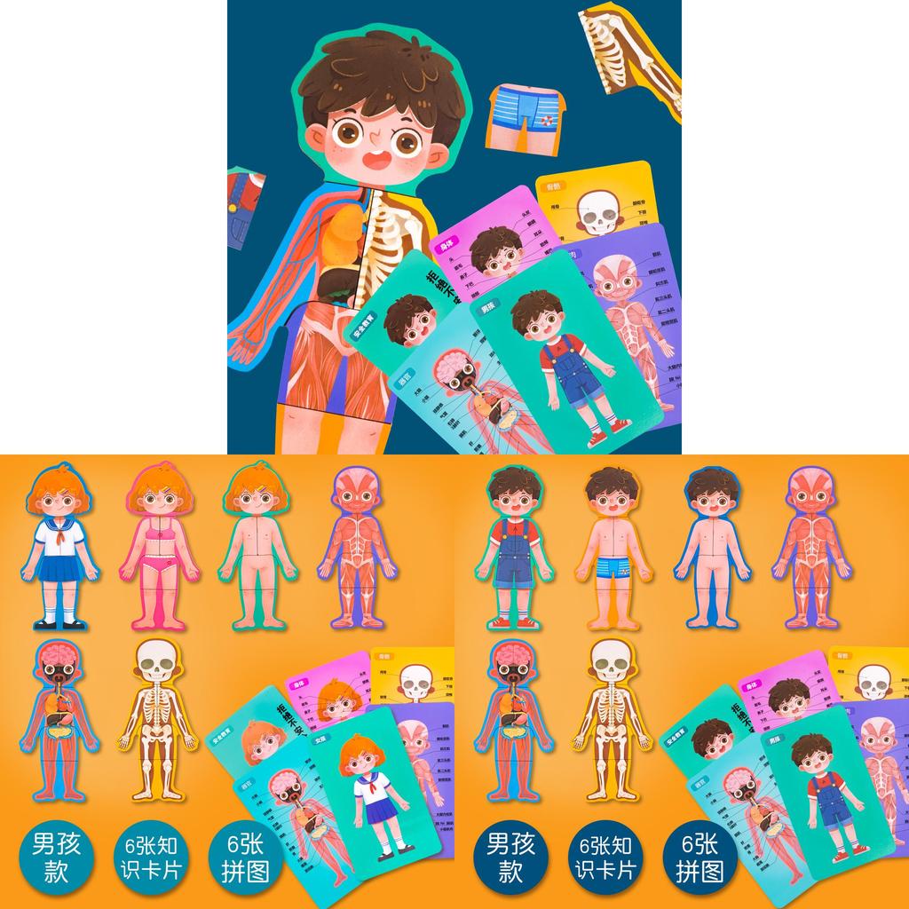 Wooden Body Structure Puzzle For Kids Educational Learning Toy For Boys And Girls