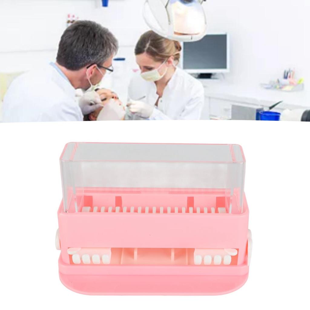 Applicator Holder Box Transparent Large Capacity Plastic Dental Applicator Brush Dispenser