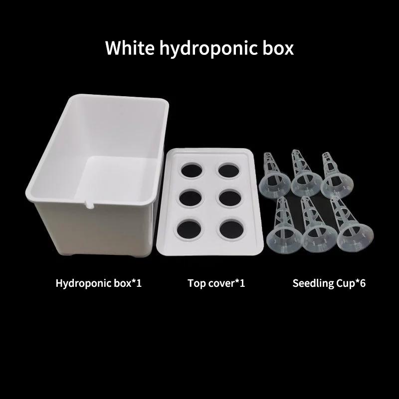 Indoor Sunlit Hydroponic Grow Box - Family Multi-Plant Soilless Cultivation Container