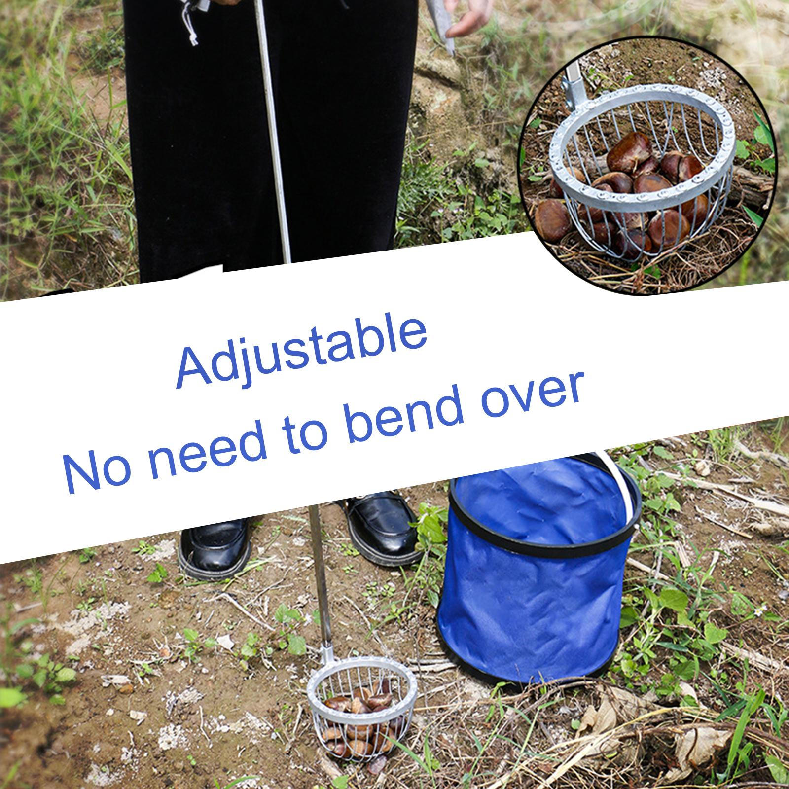 

Инструмент для сбора орехов и каштанов, сборщик орехов пекан, сельскохозяйственный телескопический стержень, 22-37 дюймов, металл