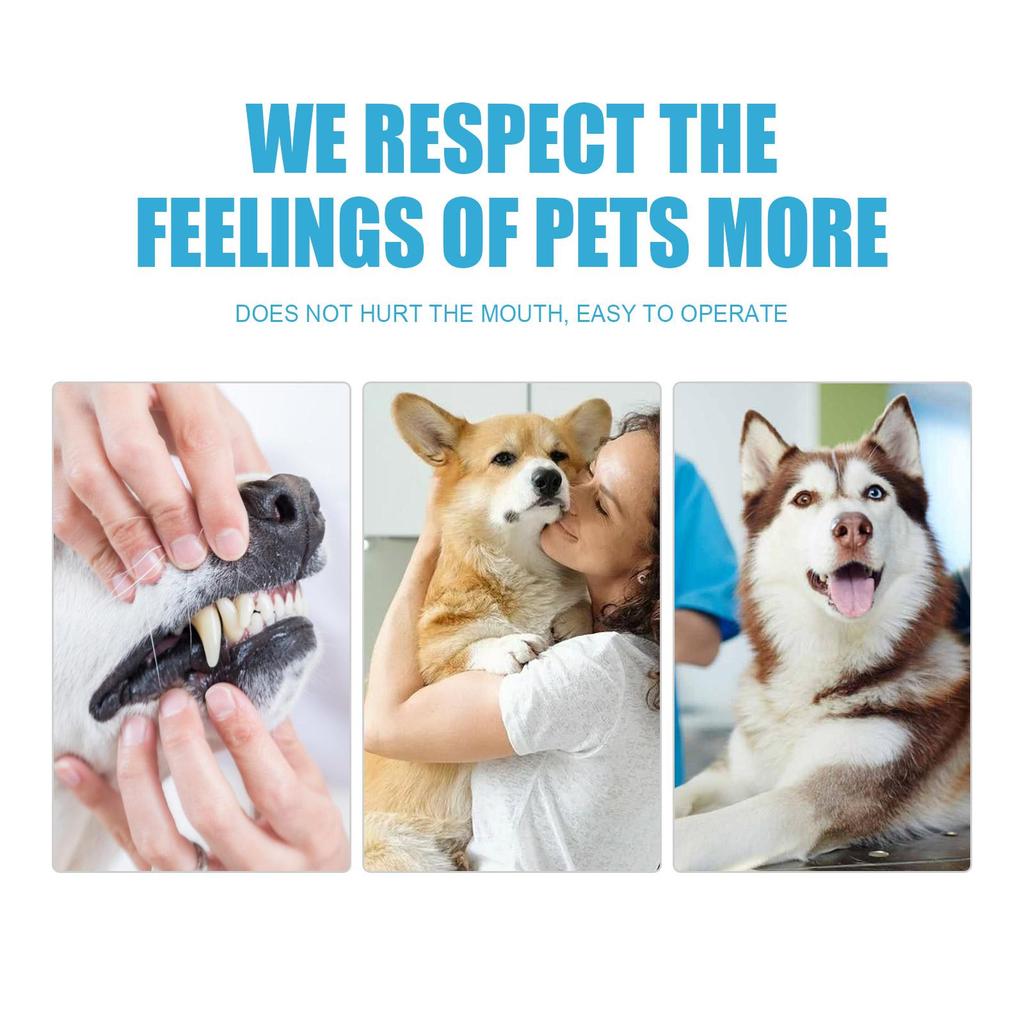 Yegbong Healthy Safe Pet Toothpaste Useful Dog Cat Teeth CleaningUseful Dog Cat Teeth Cleaning Pet Teeth Cleaning Supplies