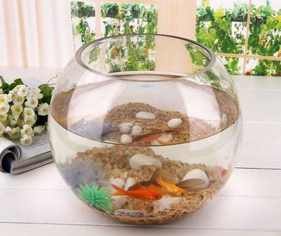Wunderschön gestaltetes Glaskugel-Terrarium zur Präsentation von Pflanzen und Kerzen