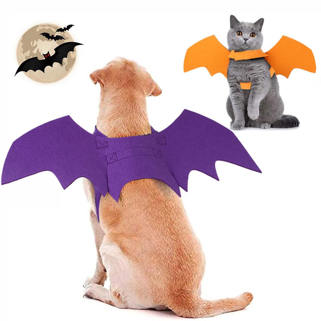 Pet Halloween Chest Back Dog Costumes Funny Costumes Printed