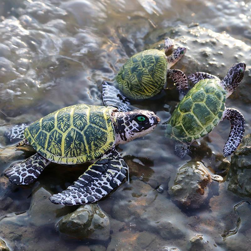 Oenux Ocean Animals Leatherback Tortoise Turtle Growth Cycle Sea Life Model Figurines Action Figures PVC Education Kid Toy Gift
