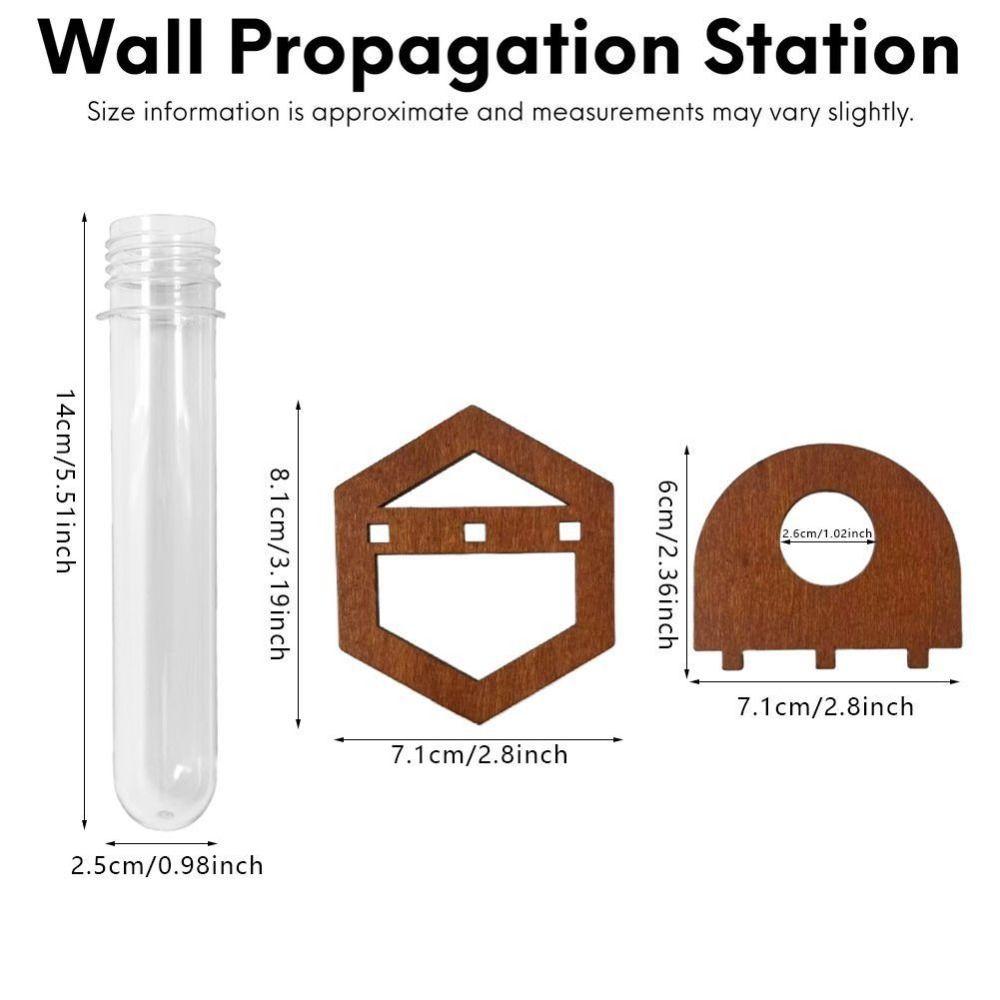 Hydrokultur Pflanzen Wandhängevase Kegelförmiger Blumentopf für Heim- und Bürodekoration