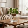 3PCS Small Size Hydroponic Plants Vase Decorative Water Cultivation Vase  Garden Accessories