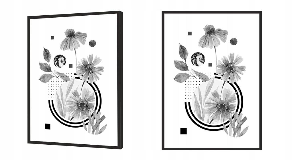 Picture Poster In a Frame 53x73 Cm Flowers P996