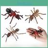 Insect Animal Educational Model Pack Plastic Figures Kid Learning Schooling Home