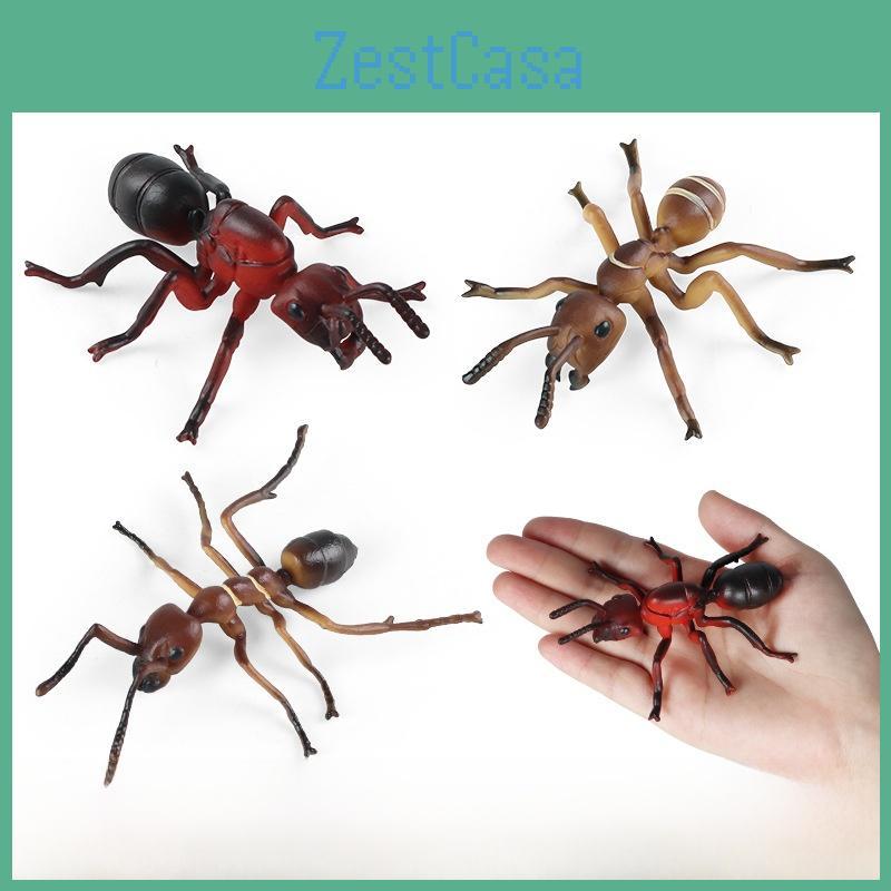Insect Animal Educational Model Pack Plastic Figures Kid Learning Schooling Home