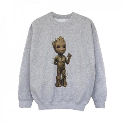 Boys I Am Groot Wave Pose Sweatshirt