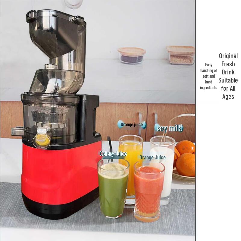 ZISIZ Slow Juicer