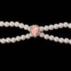 Luxury Double Layer Pearl Pet Necklace Cat Dog