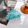Resin Beautiful Acid Colorful Flower Hair Claw For Glamorous Updos And Elegance Everyday