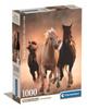 1000-piece Puzzle. Compact. Running Horses