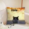 cushion cover Plush Cat Fabric Soft Double cute Sided Funny Print Sofa Cushion Cover Throw Pillow Covers