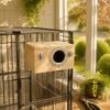 Paulownia & Pine Wood Bird Breeding Box Bird Cage Accessory Roost Box  For Cockatiel