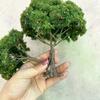 1Pcs DIY Fruit Trees Miniature Landscape Decoration Miniature Sand Table Building Model Realistic Fruit Tree Decor