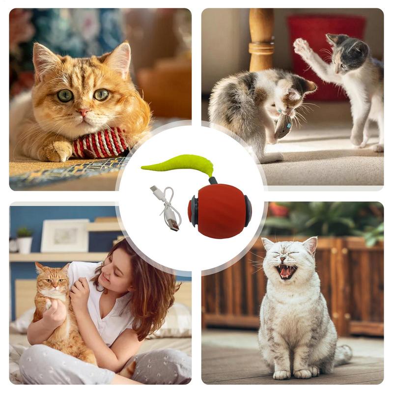 Interactive Cat Ball Smart Rolling Cat Enrichment Toys For Kitten Play Enrichment Exercise Hunting Game Activity Boredom