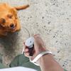 Articoli per Animali Domestici - Gatto, Cane, Piccoli Animali 2M Robusta e Durevole Rotonda e Quadrata Esterna Mini Piccola Taglia Guinzaglio Automatico Retrattile