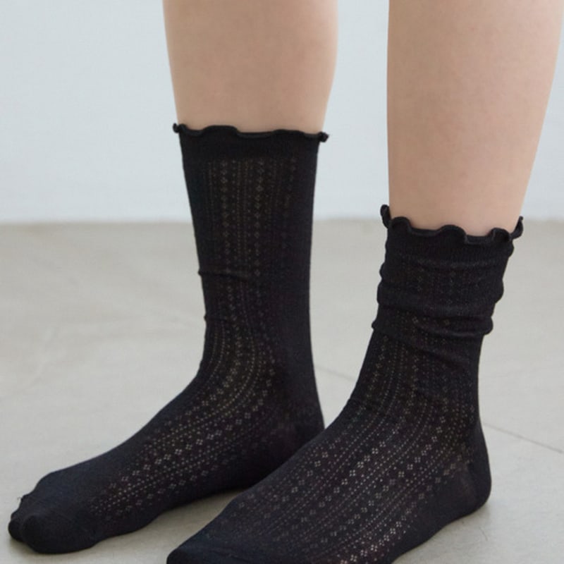 TSH Pointel Socks 4colors