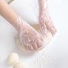 CHAHUA Disposable Food-Grade PE Gloves, 500 Count (5 Packs)