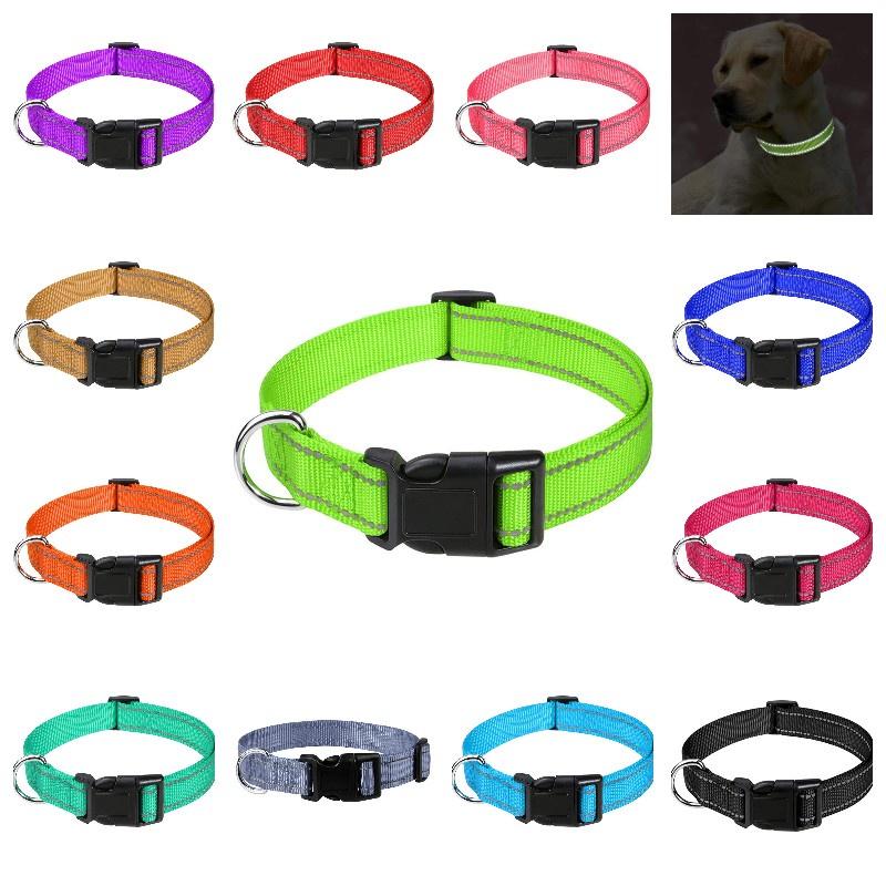 Durable Reflective Neoprene Dog Collar Available In 12 Vibrant Colors And 5 Sizes