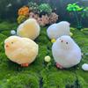 Chicken Squeeze Toy for Kids Adults Sensory Therapy Dough Ball Cute Farm Animal Anxiety Stress Relief Ball Toy